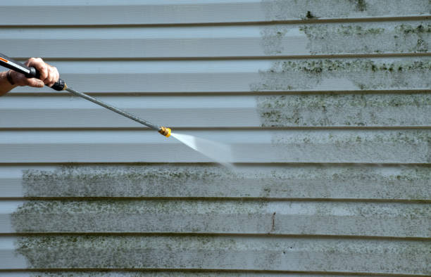 Best Gutter Cleaning and Brightening in Eagle Lake, TX